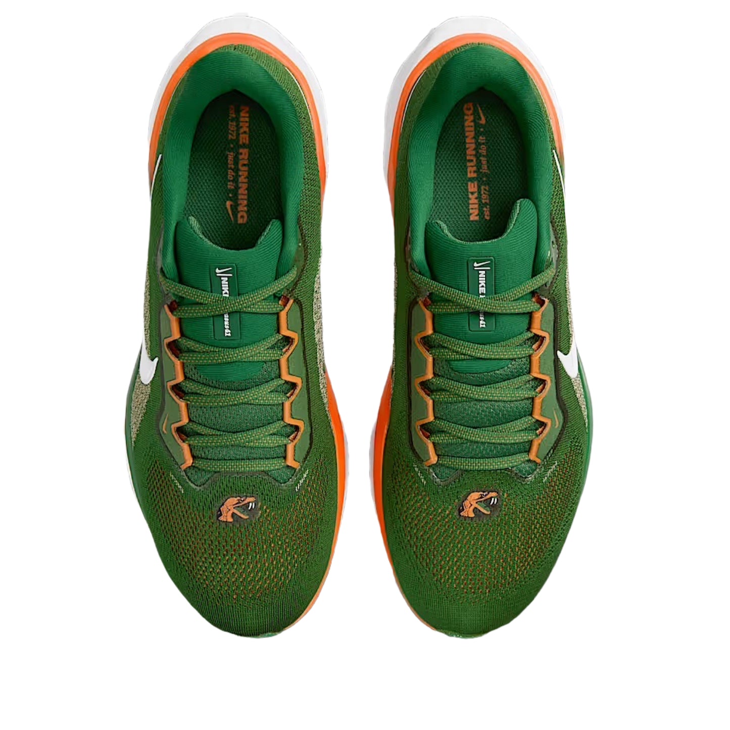 NIKE FAMU Pegasus 41 - Green
